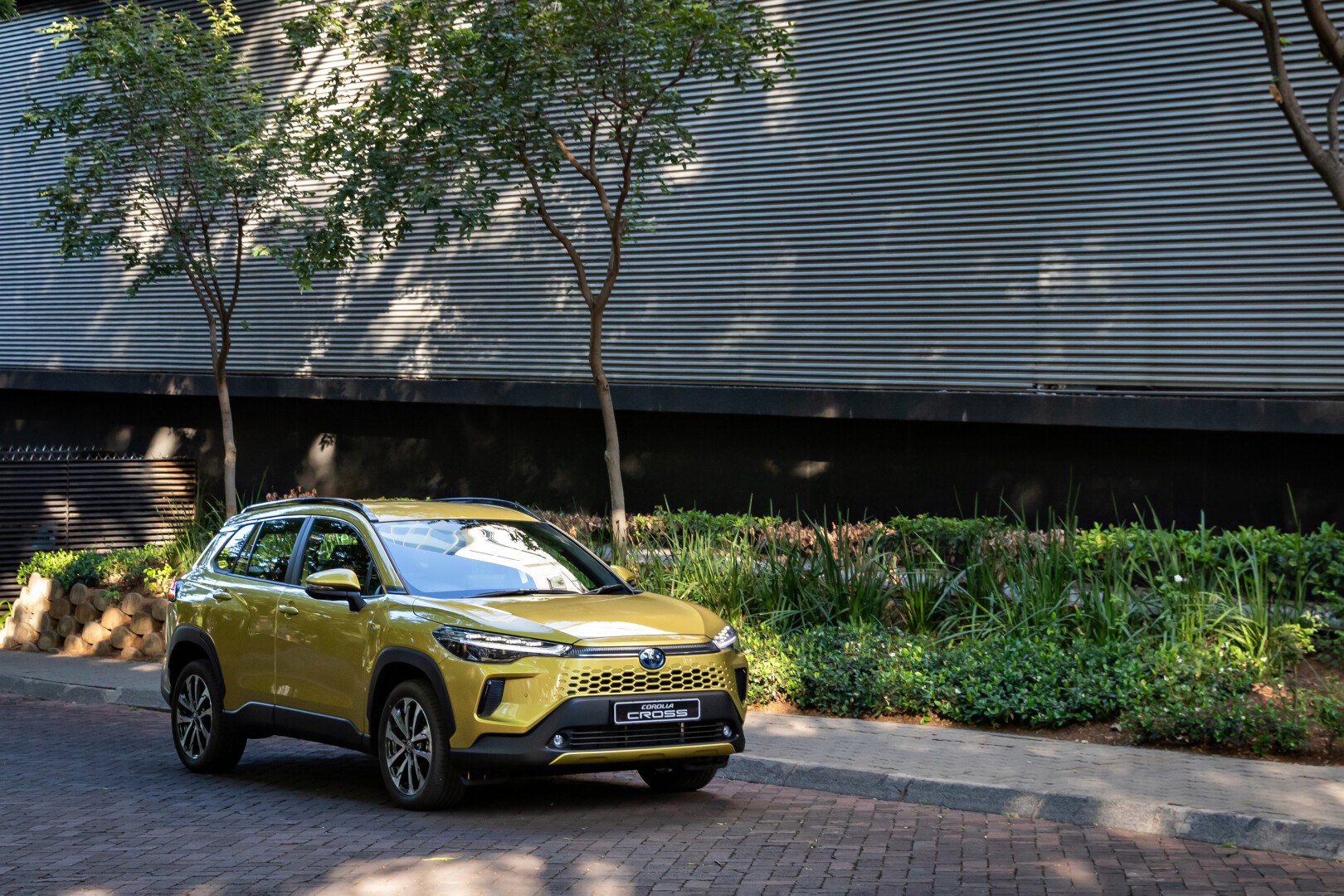 Toyota South Africa Motors displays steady sales performance for November 