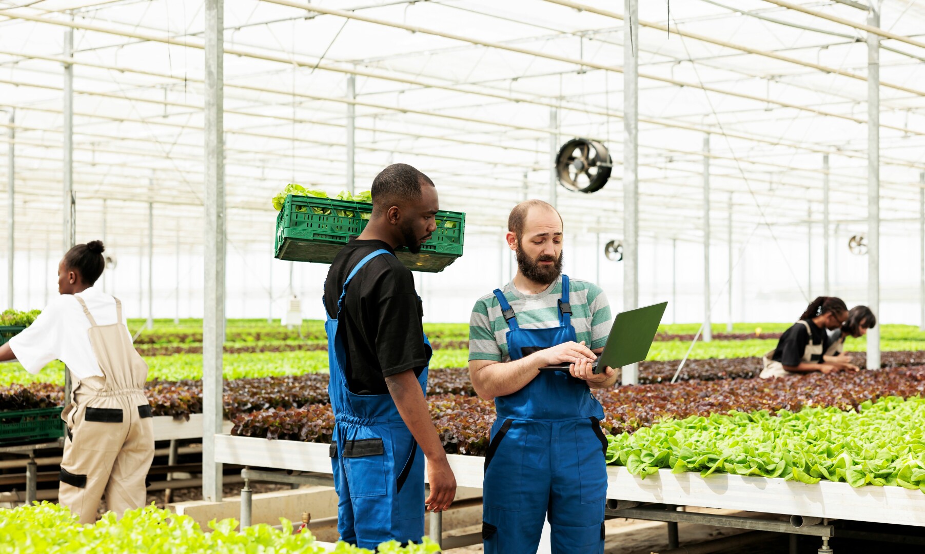 Embracing mechanisation in South Africa’s agriculture sector to meet growing demands 