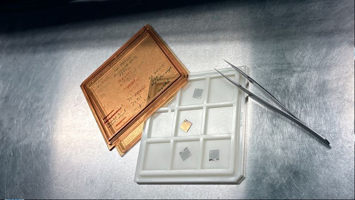 Humidity-resistant hydrogen sensor can improve safety in large-scale clean energy
