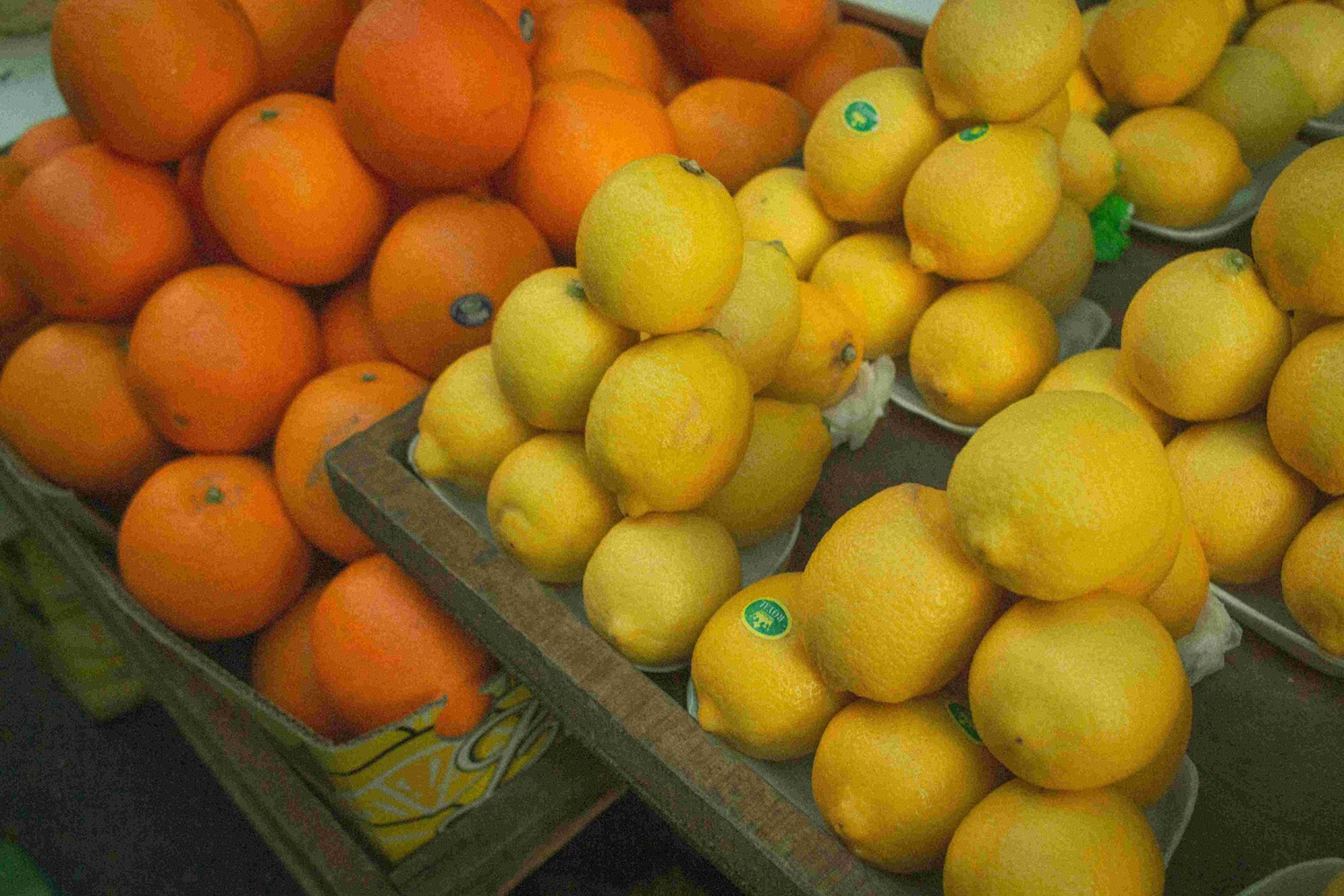 Supply chain industry body commends citrus export milestone but warns that supply chain challenges could sour continued growth