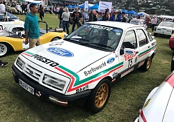 Race and Rally Cars for the Road will take centre-stage at Cars in the Park on August 3, 2025